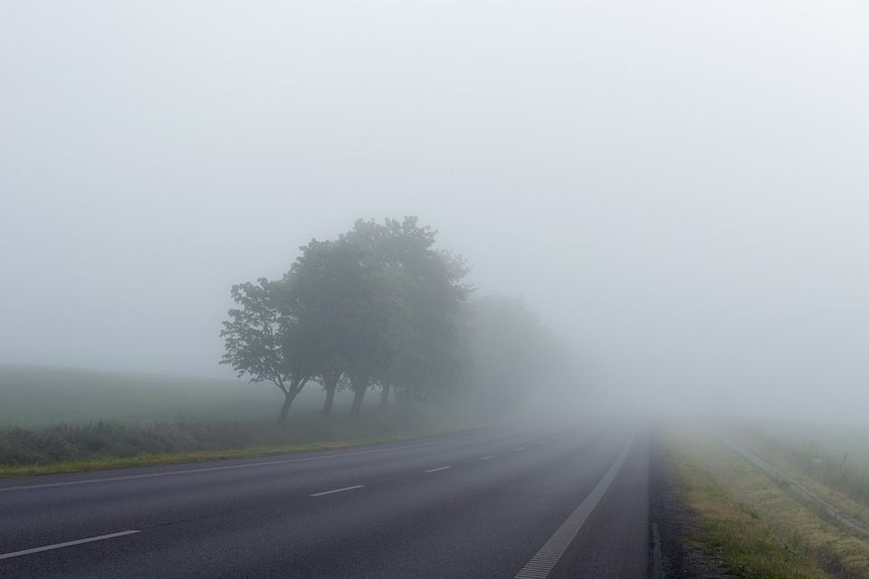 Mit Profiservice sicher durch den Herbst