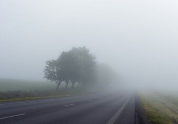 Mit Profiservice sicher durch den Herbst